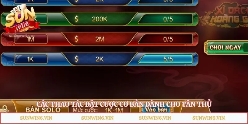 Các thao tác đặt cược cơ bản dành cho tân thủ