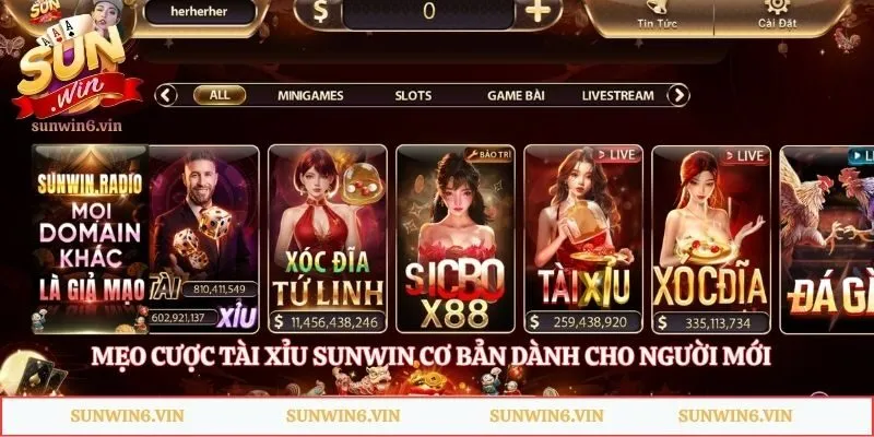 Mẹo Cược Tài Xỉu Sunwin - Bắt Cầu Chuẩn Gom Tiền Cực Khủng 1 Mẹo cược tài xỉu Sunwin cơ bản dành cho người mới